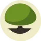 灌木咖啡